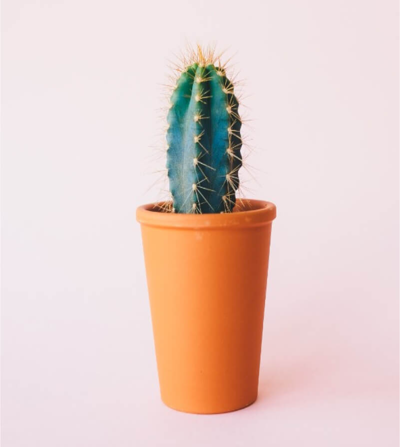 Ceramic Plates - bomashop Verbrauchsmaterialien 1